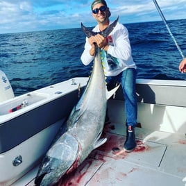 Tuna (BFT & YFT) 