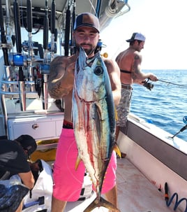 Tuna (BFT & YFT) 