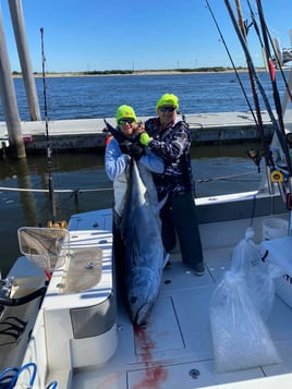 Tuna (BFT & YFT) 