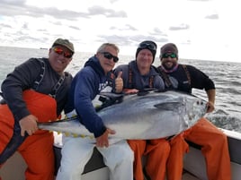 Tuna (BFT & YFT) 