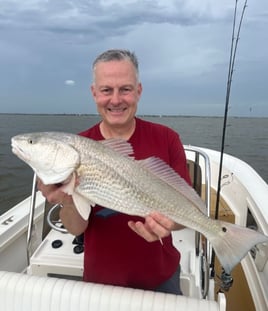 4-6 Hour Inshore Trip