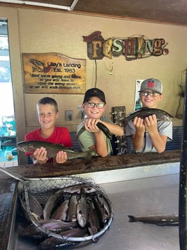 4 hr. Trout Fishing Trip