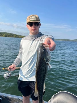 Table Rock Bass Fishing