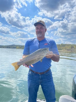 Table Rock Bass Fishing