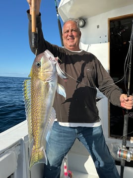 Offshore Canyon Adventure