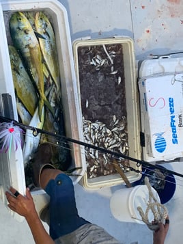 Offshore Canyon Adventure