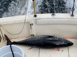 Offshore Canyon Adventure