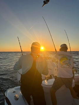 Full day Offshore trip