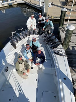 Full day Offshore trip