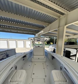 Full day Offshore trip