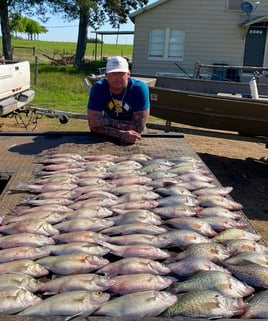 Lake Somerville Crappie and hybrids