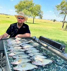 Lake Somerville Crappie and hybrids