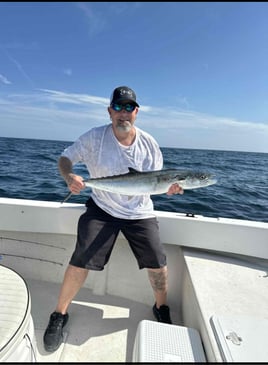 REEL SCREAMING OFFSHORE fISHING