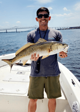 REEL SCREAMING OFFSHORE fISHING