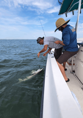 REEL SCREAMING OFFSHORE fISHING