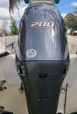 REEL SCREAMING OFFSHORE fISHING