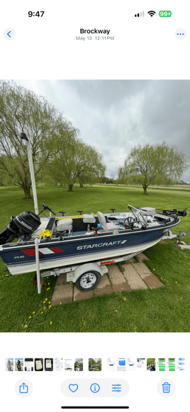 Walleye , salmon,  steelhead combo