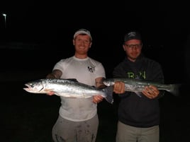 Walleye , salmon,  steelhead combo