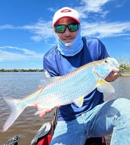Everglades Light Tackle/Fly Fishing