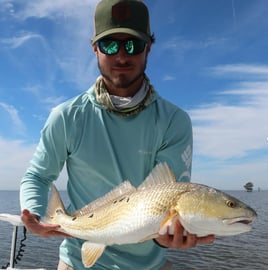 Everglades Light Tackle/Fly Fishing