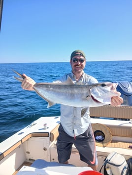 OFFSHORE Reef and Wreck fishing