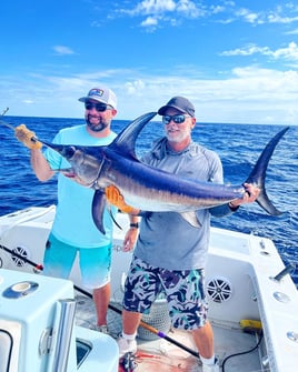 Swordfish Trip