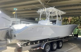 Full day Inshore Trip