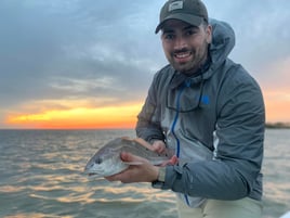 8 Hour Trip – East Galveston Bay