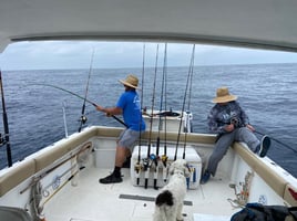  4-8 Hour Offshore