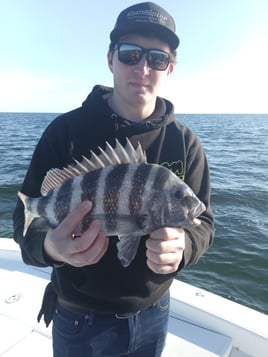 Half day charter (4-Hour) AM
