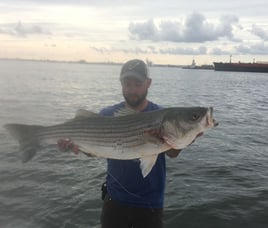 4-6 Hour Inshore Trip