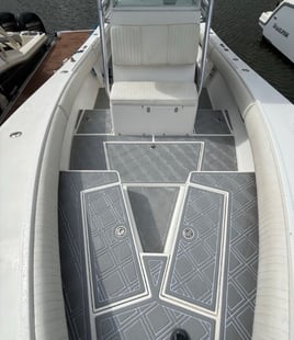 4-6 Hour Inshore Trip