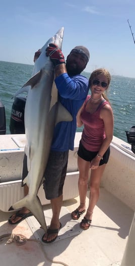 3/4 Day Trip – Shark