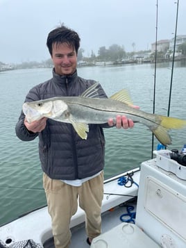 St Pete Fishing Trip