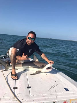 St Pete Fishing Trip