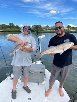 St Pete Fishing Trip