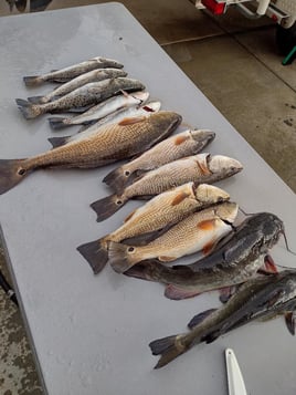 (4hr) Inshore Seatrout/Redfish