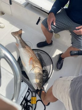 (4hr) Inshore Seatrout/Redfish