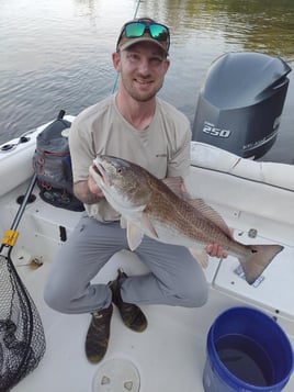 (4hr) Inshore Seatrout/Redfish