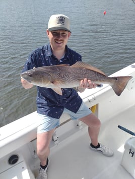 (4hr) Inshore Seatrout/Redfish