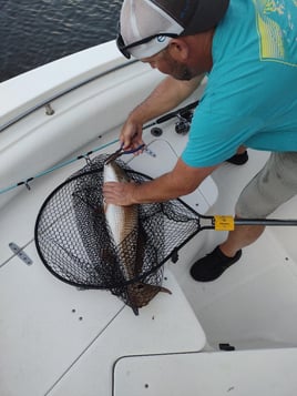 (4hr) Inshore Seatrout/Redfish