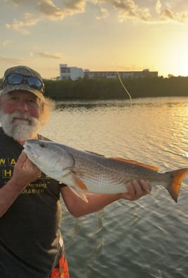 3-8 Hour Inshore Trip - Bay boat