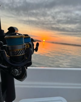 3-8 Hour Inshore Trip