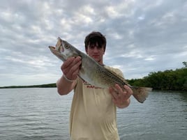 Snook bite