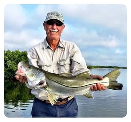 Snook bite