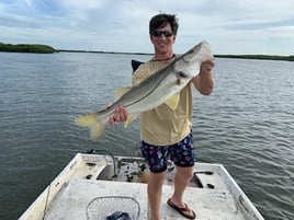 Snook bite