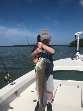 Inshore Fishing Trip