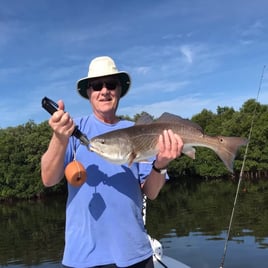 Inshore Fishing Trip