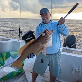 8-12 Hour Offshore Trip