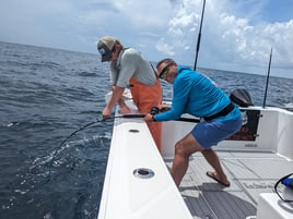 8-12 Hour Offshore Trip